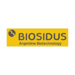 Proyecto nuevo (24)